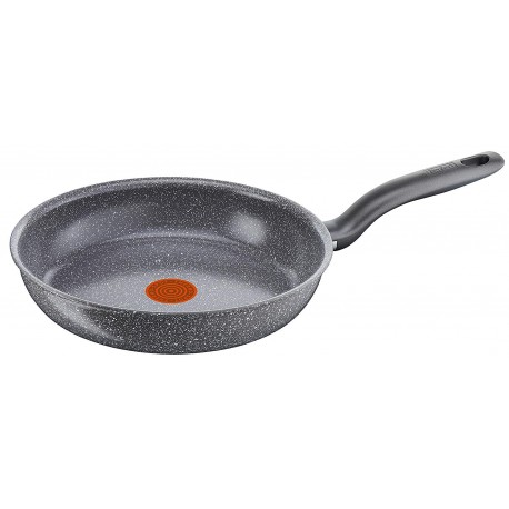 TEFAL C4000402 SARTEN 24CM