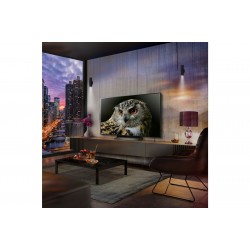 LG OLED55C44LAOUTL TELEVISOR 55