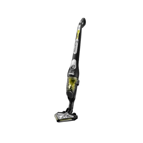 ROWENTA RH8895WO ASPIRADOR 32,4V