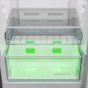 BEKO RDNE455E40DSN FRIGORIFICO 2P