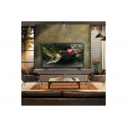LG OLED77B46LAOUTL TELEVISOR 77