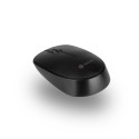 NGS ALLUREKIT TECLADO