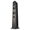 NGS SKYCHARMPRO TORRE SONIDO