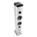 NGS SKYCHARMPROWHIT TORRE SONIDO