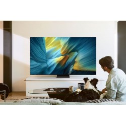 SAMSUNG TQ83S95FAEXXCOU SMART TV QNED 83