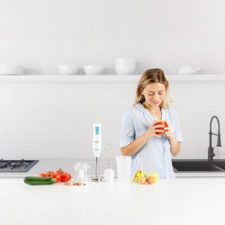 TAURUS ROBOT1000PLUS BATIDORA DE MANO