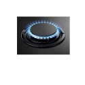 ZANUSSI ZGO62414BA PLACA GAS 4F