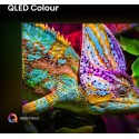 HISENSE 55E7QPRO TELEVISOR 55