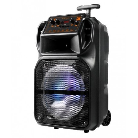 DHG E343 ALTAVOZ RADIO GR