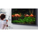 SAMSUNG QE65LST7TCUXXCO TELEVISOR