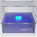 BEKO B5RCNE365HG FRIGORIFICO COMBI