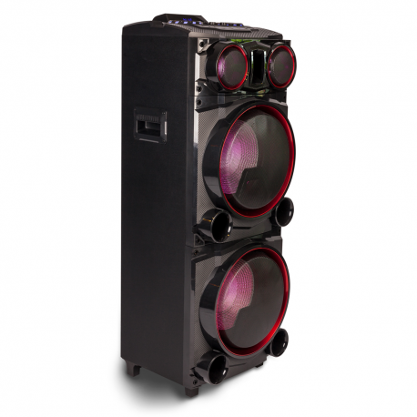 NGS WILDPUNK2 ALTAVOZ 700W